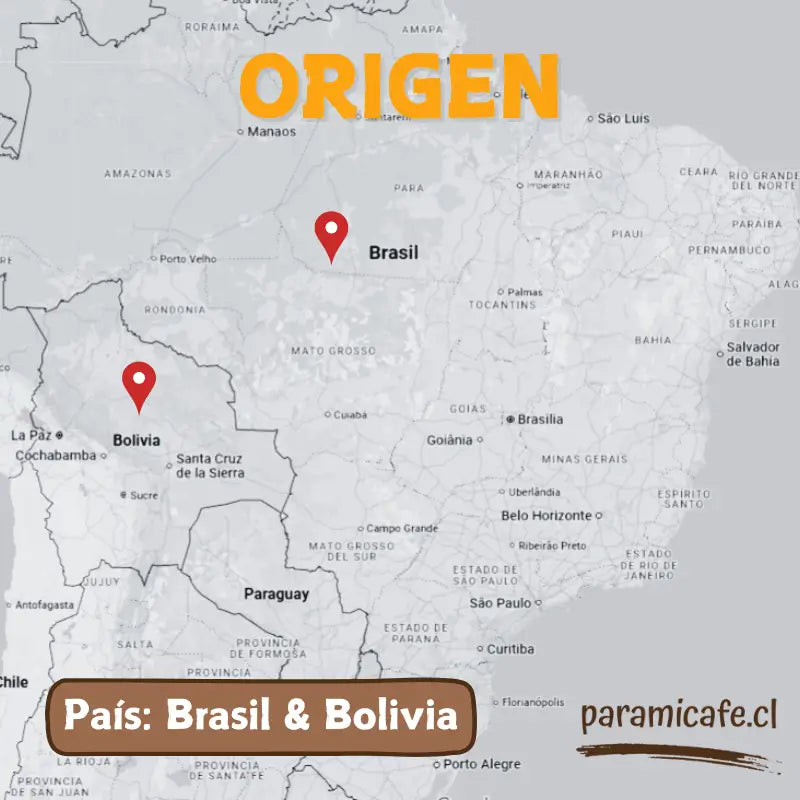 Infografía de origen del café: Brasil y Bolivia